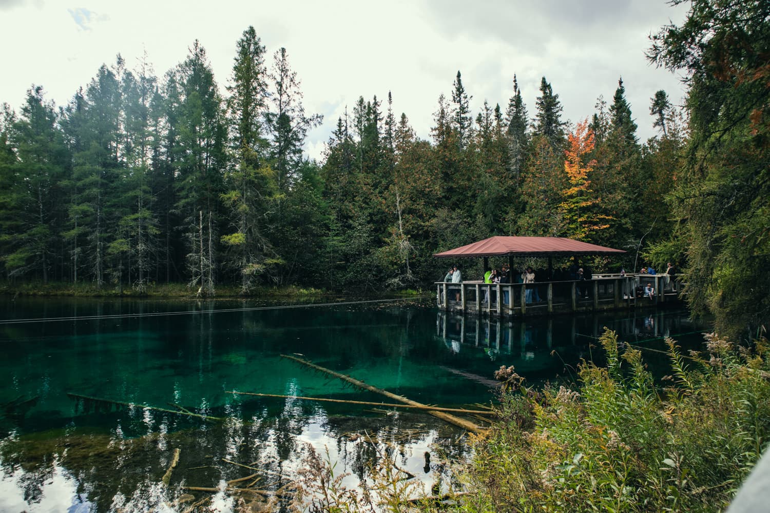The covered observation raft on the turquoise water of Kitch-iti-kipi, framed by evergreens and fall color at Palms Book State Park