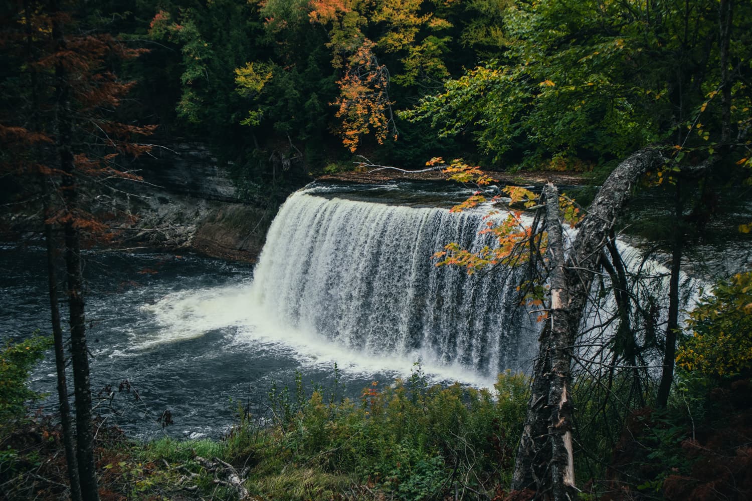 Upper Tahquamenon Falls pouring over a wide ledge with orange and yellow fall leaves along the Tahquamenon River